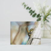 Carte postale Veste Jaune (Debout devant)