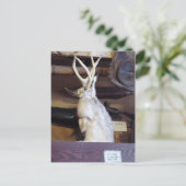 Carte Postale Veste pleine taille 287,00 $ (Debout devant)