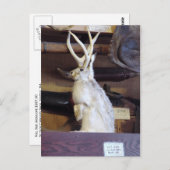 Carte Postale Veste pleine taille 287,00 $ (Devant / Derrière)