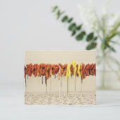 Carte Postale Vestes à vie (Debout devant)