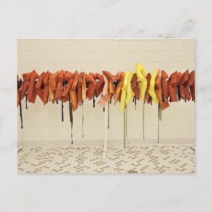 Carte Postale Vestes à vie