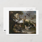 Carte Postale Vestige d'oiseaux musicaux (Devant / Derrière)