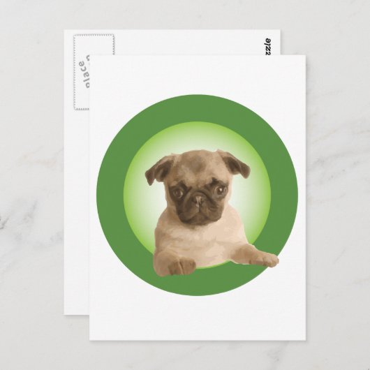 Carte Postale Vêtements NIPRA (Devant / Derrière)