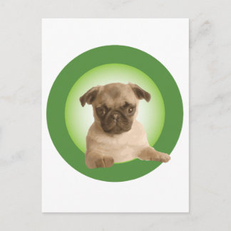 Carte Postale Vêtements NIPRA