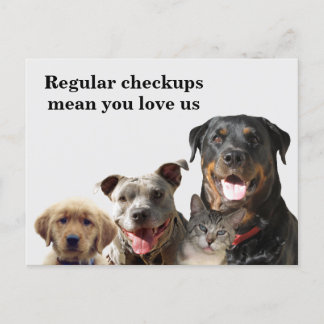 Carte Postale Vétérinaire Aimer vos animaux de compagnie Checkup