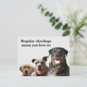 Carte Postale Vétérinaire Aimer vos animaux de compagnie Checkup (Debout devant)