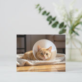 Carte Postale Veterinarian Ginger Cat Wearing a Cone of Shame (Debout devant)