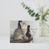 Carte Postale Veuillez appeler Kitty (Debout devant)