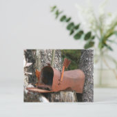 Carte Postale Veuillez écrire (Debout devant)