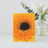 Carte Postale Vibrant (Debout devant)