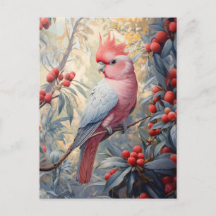 Carte Postale Vibrant Galah Cockatoo rose