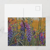 Carte Postale Vibrant Lupine Arctique (Devant / Derrière)