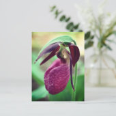 Carte Postale Vibrant Pink Lady Slipper Flower Photography (Debout devant)