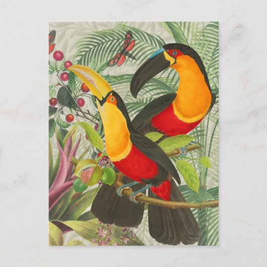 Carte Postale Vibrant Tropical Toucan Birds Art Exotic Jungle (Devant)