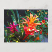 Carte Postale Vibration (Devant)