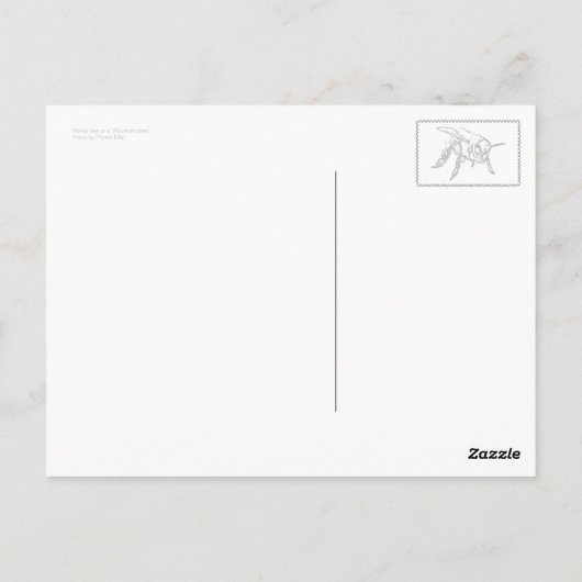 Carte Postale Viburnum (Dos)