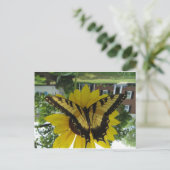 Carte Postale Viceroy Butterlfy (Debout devant)