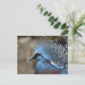 Carte Postale Victoria Crowne Pigeon (Debout devant)