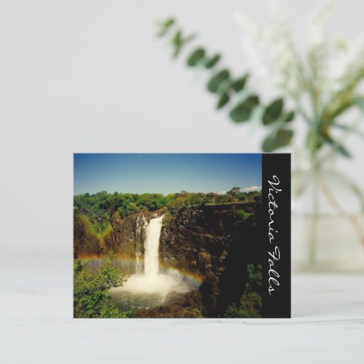 Carte Postale victoria falls (Debout devant)