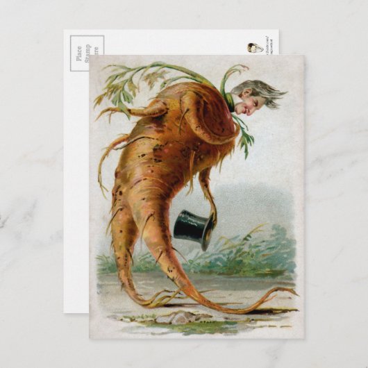 Carte Postale Victorian Odd Root Man (Devant / Derrière)