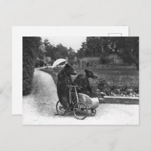 Carte Postale Victorian Weird Bears Riding Bicycle (Devant / Derrière)