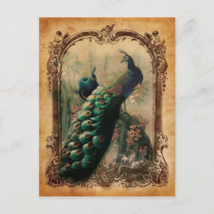 Carte Postale victorien vintage floral parisien paon
