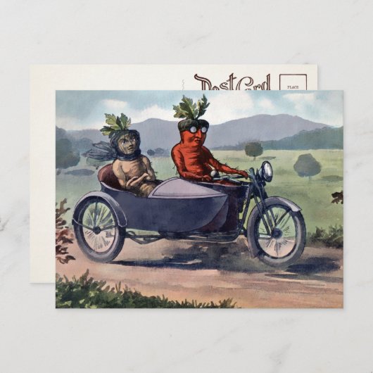 Carte postale victorienne de carottes au volant  (Devant / Derrière)