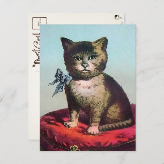 Carte postale victorienne de chat étrange (Devant / Derrière)