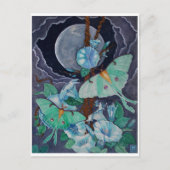 Carte Postale Vida de la Luna (Devant)