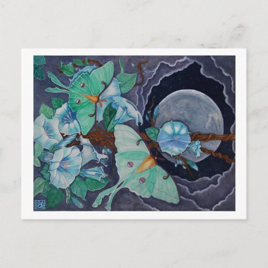 Carte Postale Vida de la Luna (Devant)