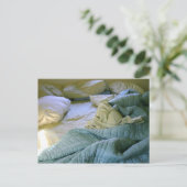 Carte postale vide. (Debout devant)