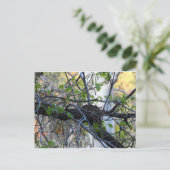 Carte postale vide de nid (Debout devant)