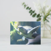 Carte Postale vie aquarium (Debout devant)