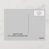 Carte Postale vie aquarium (Dos)