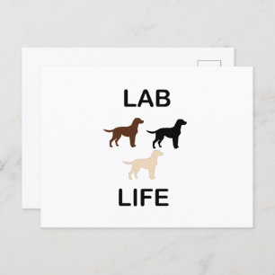 Carte Postale vie de laboratoire toutes les couleurs silhouettes