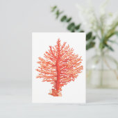 CARTE POSTALE VIE MARINE "SEACORAL" (Debout devant)