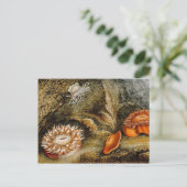 Carte Postale Vie maritime vintage (Debout devant)