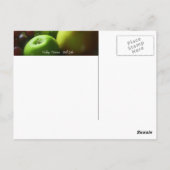 Carte Postale Vie morte (Dos)