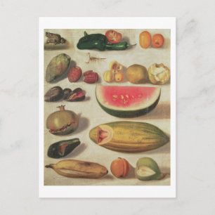 Carte Postale Vie morte avec fruits et crapaud