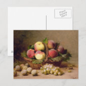 Carte Postale Vie morte des fruits (Devant / Derrière)