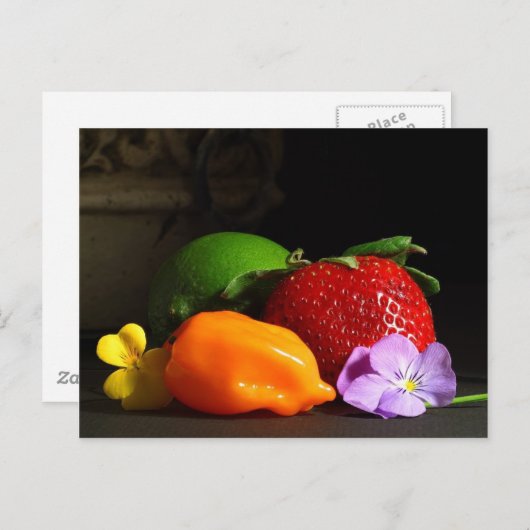 Carte Postale vie morte-fruitière (Devant / Derrière)