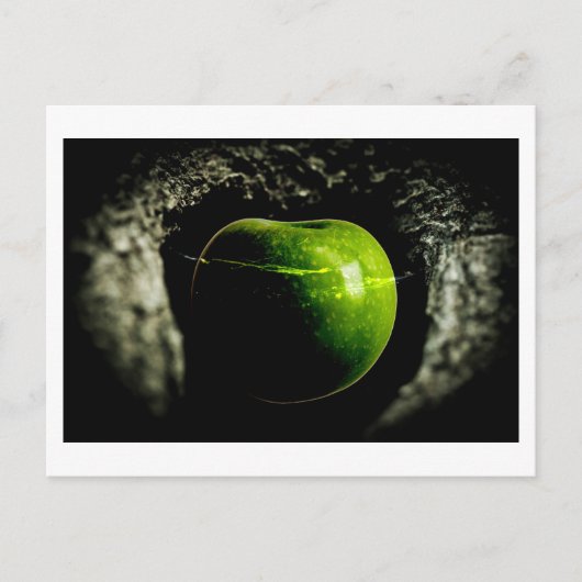 Carte Postale vie sur la pomme (Devant)