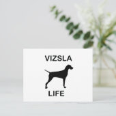 Carte Postale vie vizsla (Debout devant)