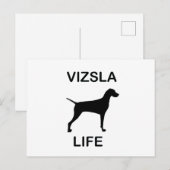 Carte Postale vie vizsla (Devant / Derrière)
