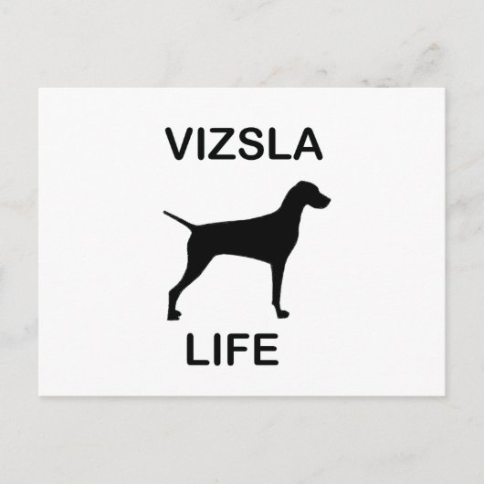 Carte Postale vie vizsla (Devant)