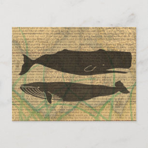 Carte Postale  Vieille Baleine Nautilique Vieille Océan Vie Mari