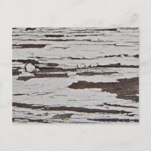 Carte Postale Vieille peinture sur bois
