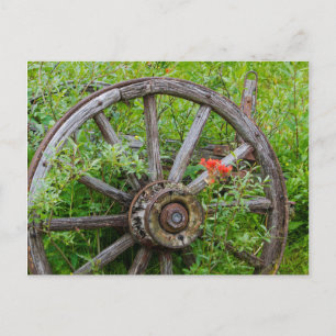 Carte Postale Vieille roue de chariot dans la vieille ville auri