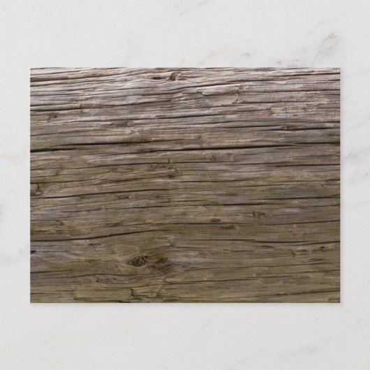 Carte Postale Vieille texture de log (Devant)
