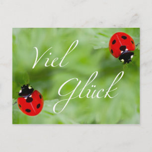 Carte Postale Viel Glück im Doppelpack !